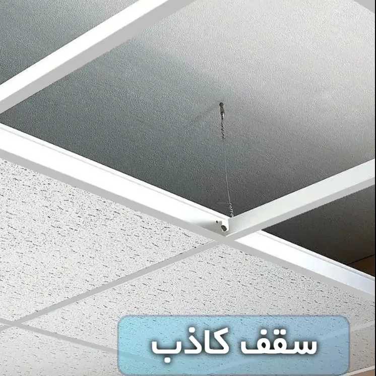1733917930472.webp