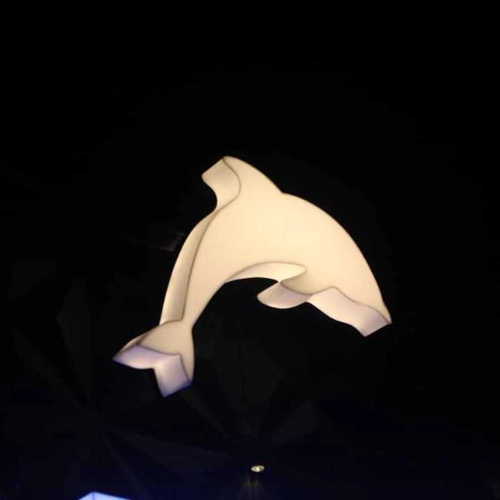 1735103253468.webp