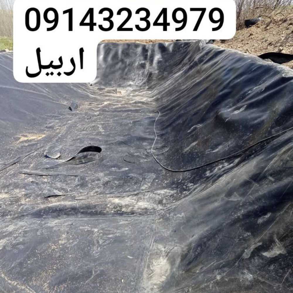 1740474307250.webp