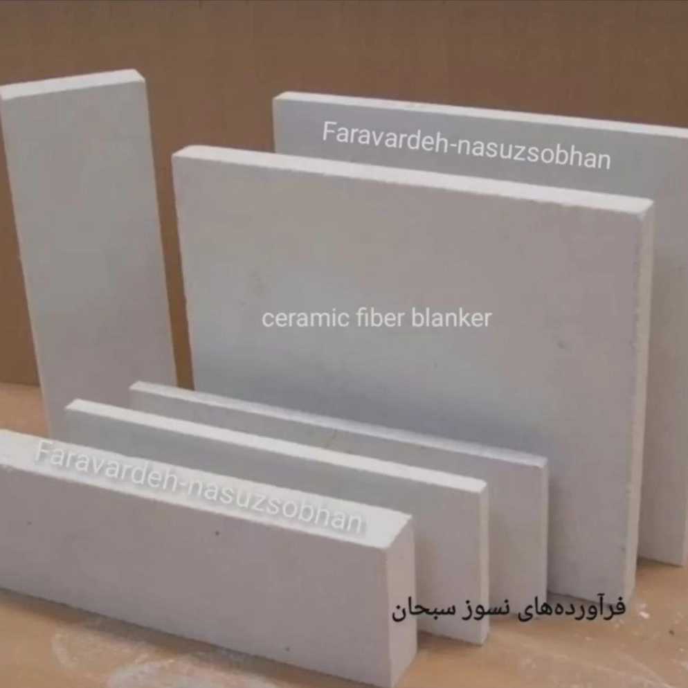1744095700218.webp