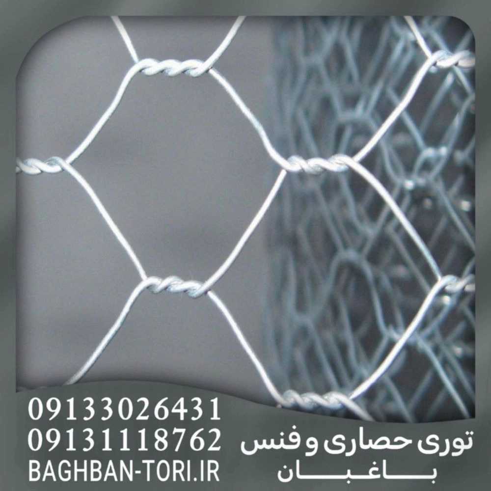 1746689150586.webp