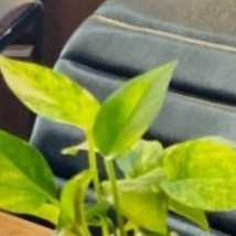 1752385074296.webp