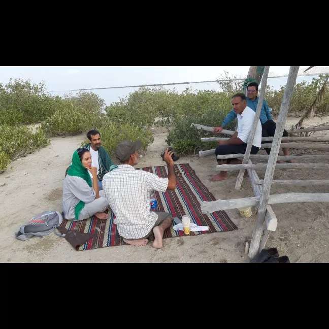 تیم فعال