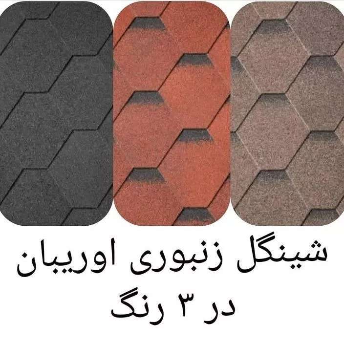شینگل