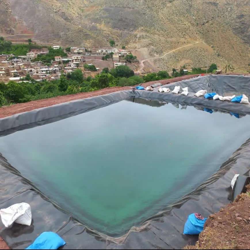 ورق ژئوممبران