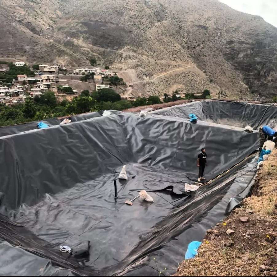 ورق ژئوممبران