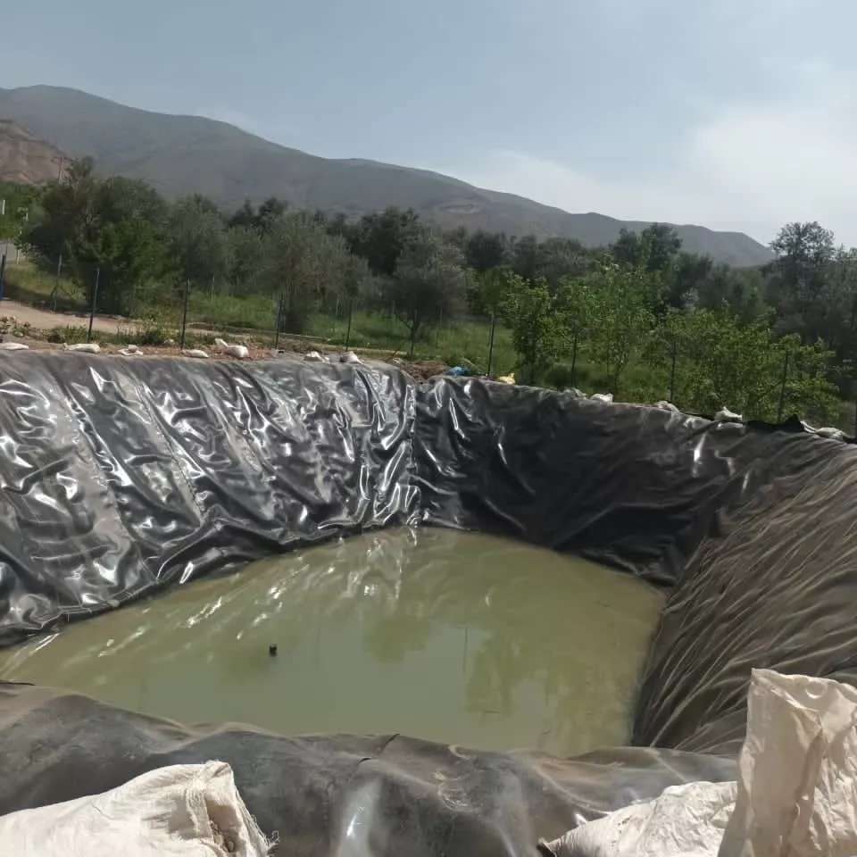ورق ژئوممبران