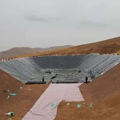 ورق ژئوممبران