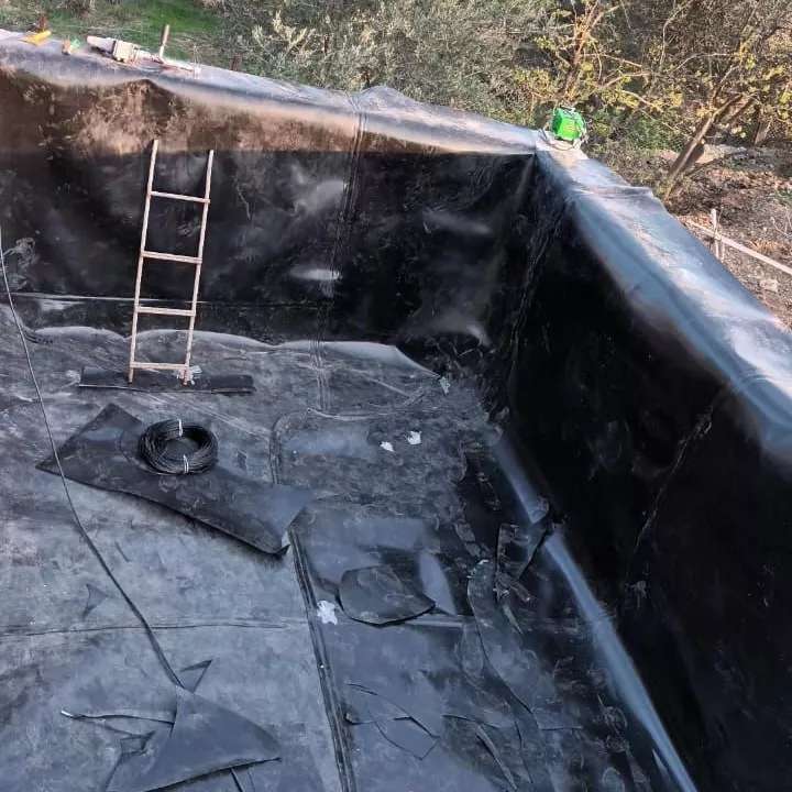 ورق ژئوممبران