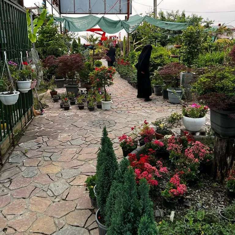 محصولات مجموعه ی گیل گل