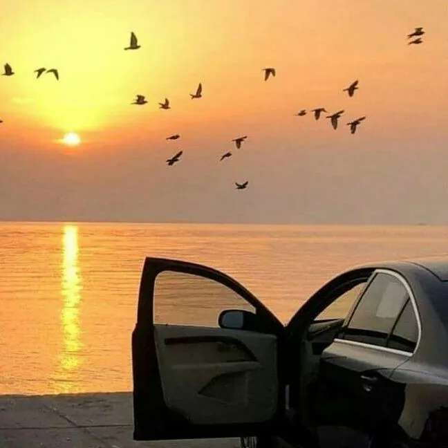 رنت خودرو