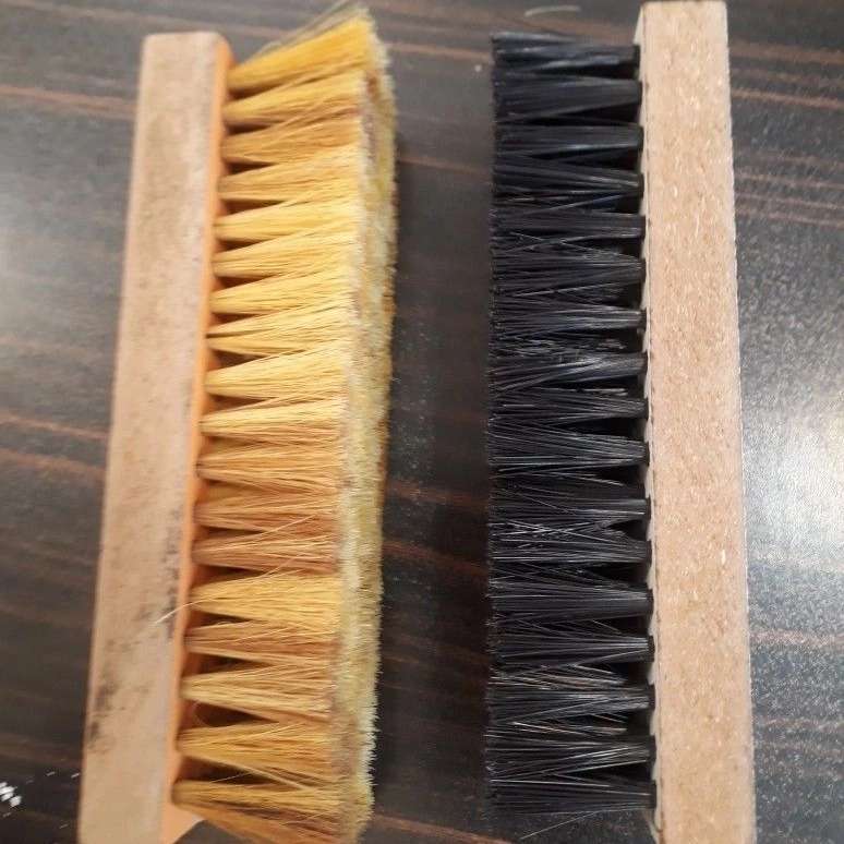 فرچه و برس شمس