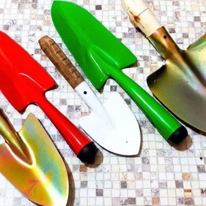 فرچه و برس شمس
