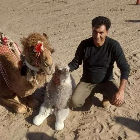 مجتمع تفریحی گردشگری ارغوان کویر