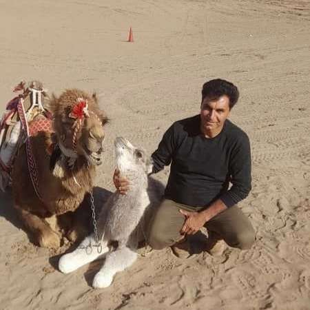 مجتمع تفریحی گردشگری ارغوان کویر