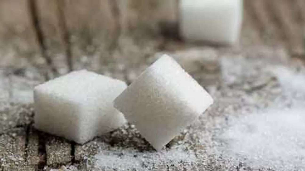 تولیدی محصولات تک نفره