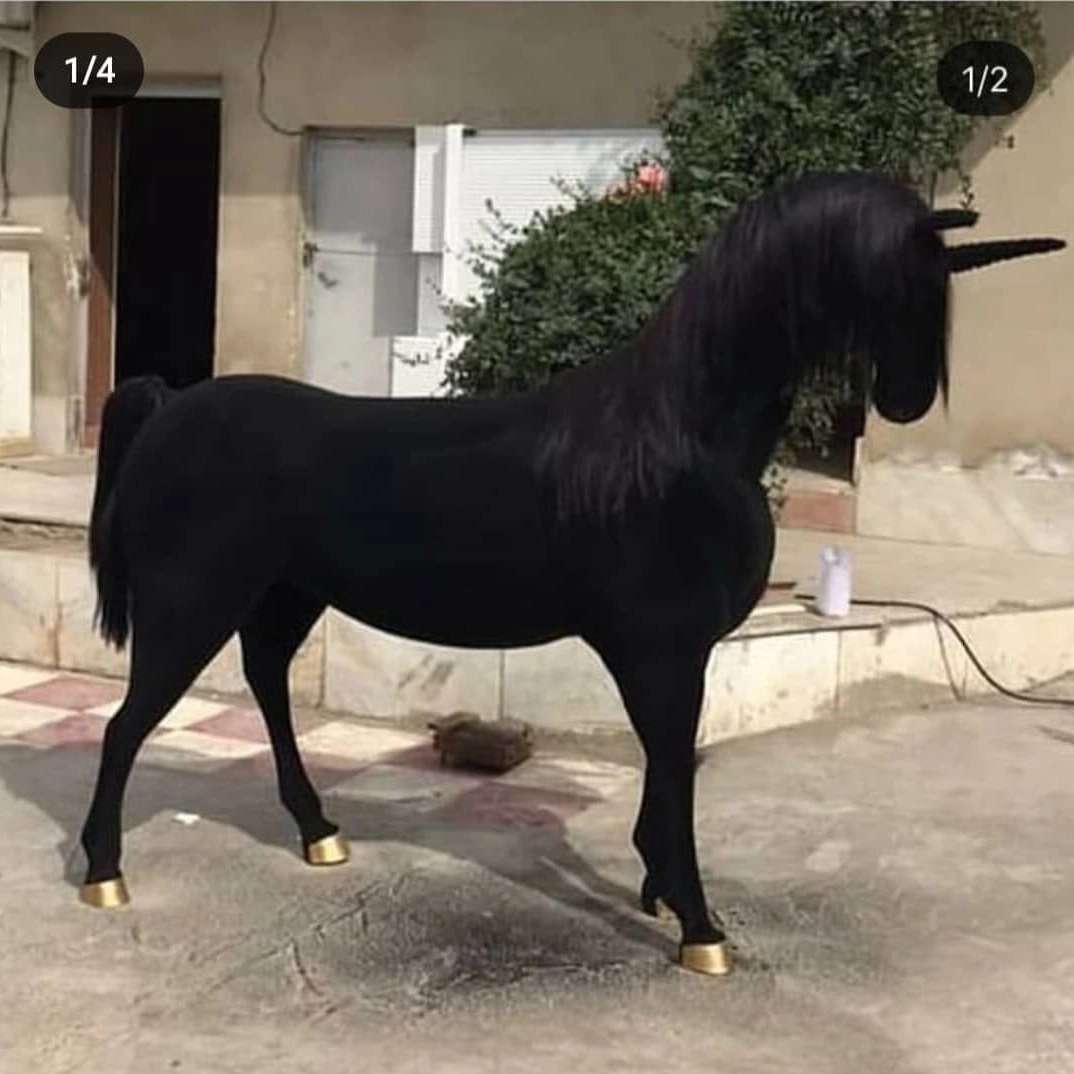 آنلاین دکور تهران
