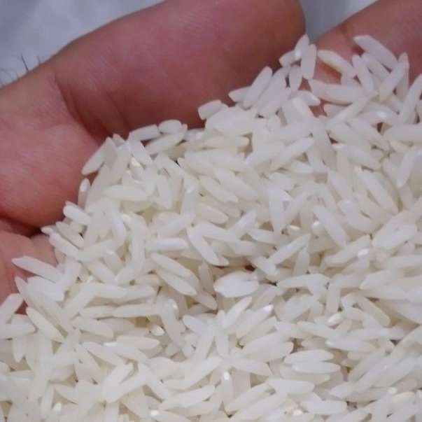 برنج فروشی خزر