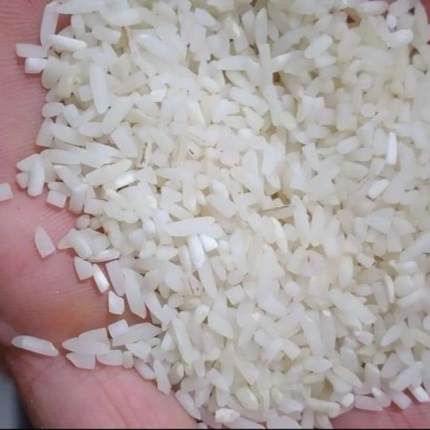 برنج فروشی خزر