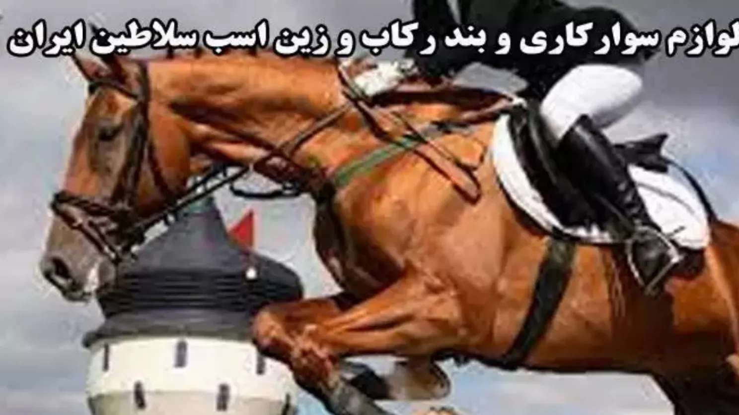 لوازم سوارکاری سلاطین ایران