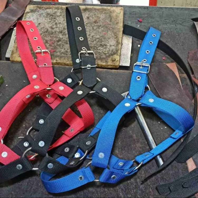 لوازم سوارکاری باغبان
