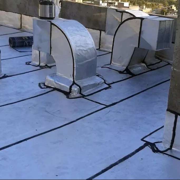 ایزوگام محسنی
