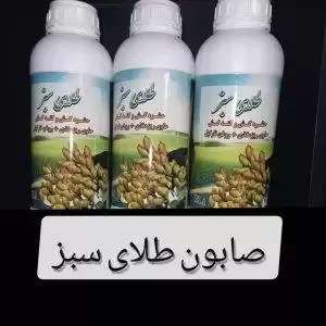 کودهای درخت پسته