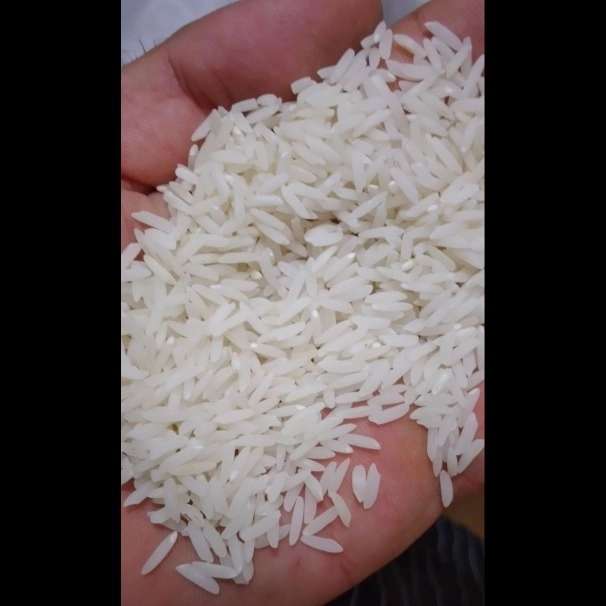 برنج فروشی خزر
