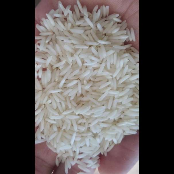 برنج فروشی خزر