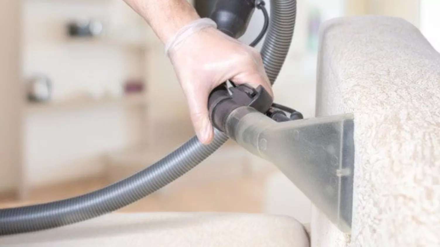 قالیشویی و مبل شویی شاهد