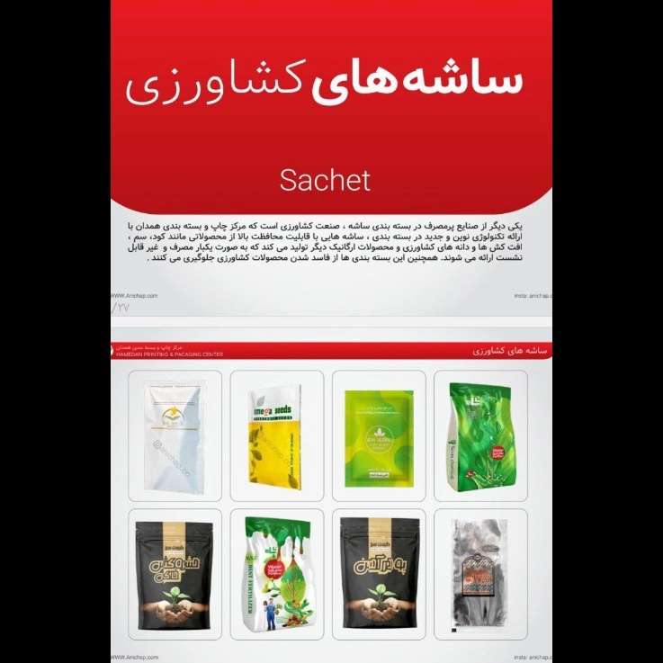 ساشه