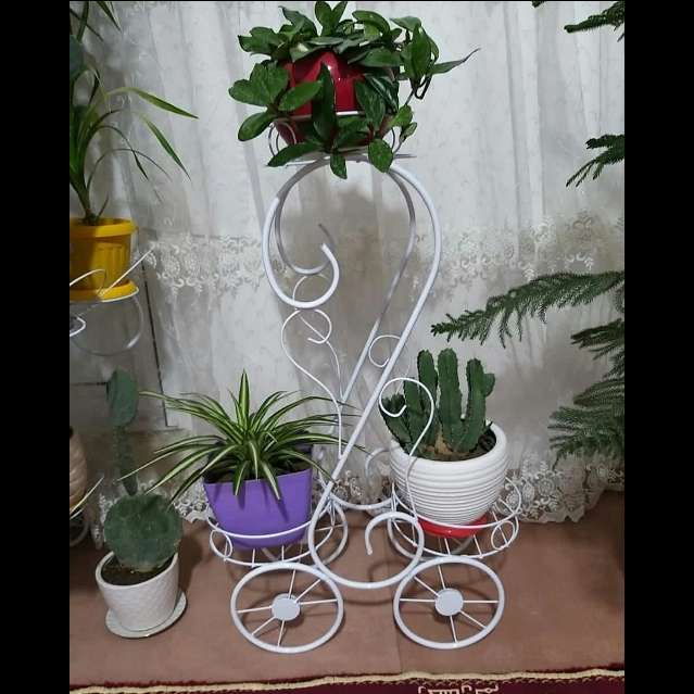 استند گل
