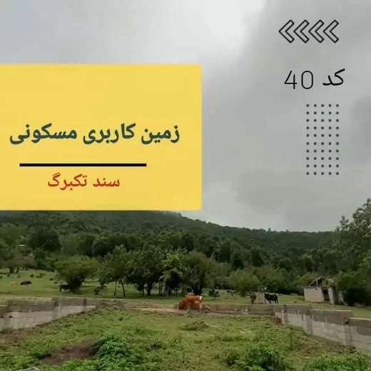 املاک آرکا