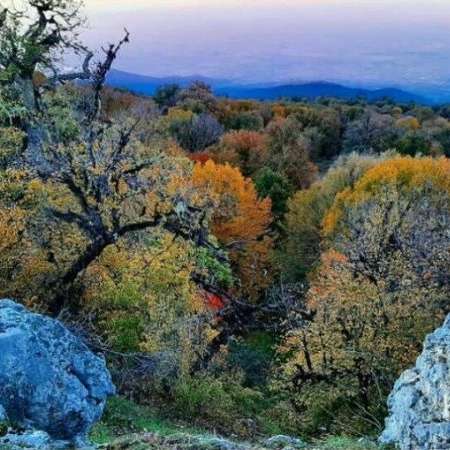 بوم گردی میا در مازندران