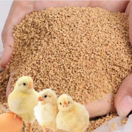 تولید خوراک دام و طیور و ابزیان و پت های خانگی مهدانه البرز