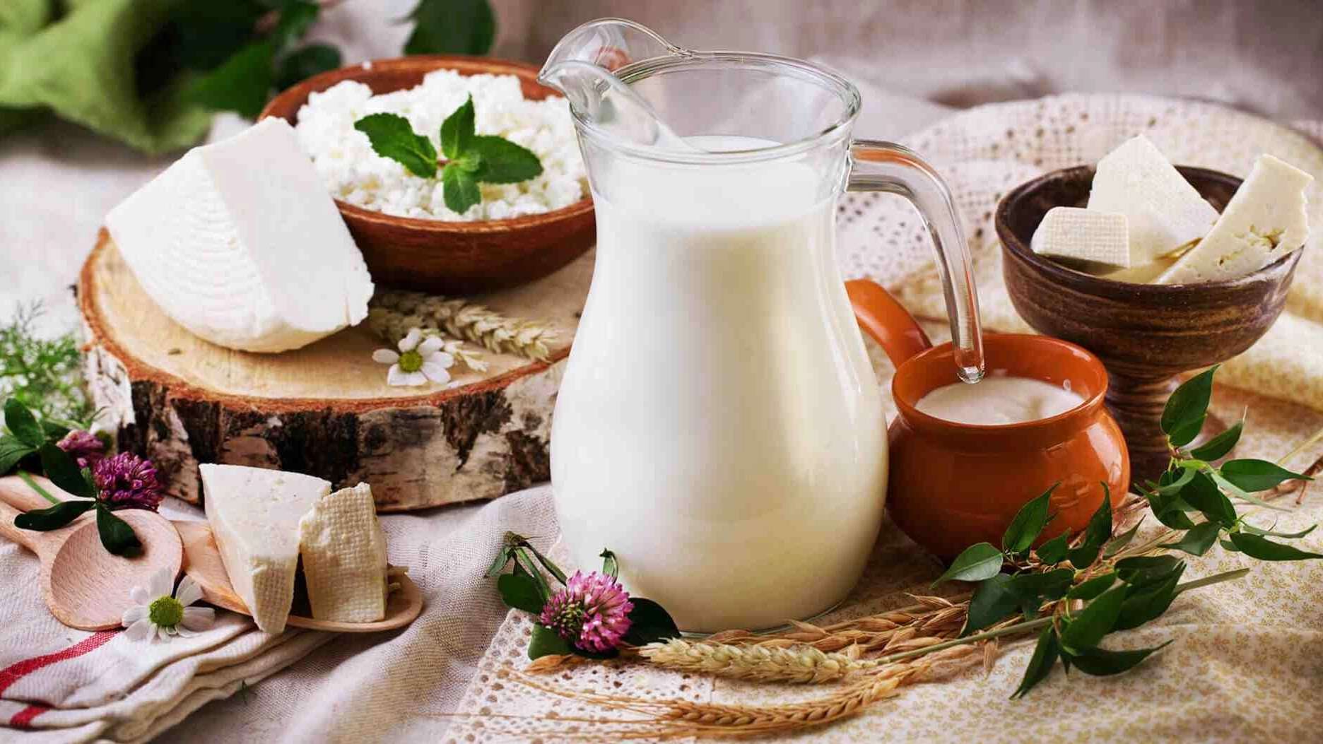 فروش انواع لبنیات هاشم زاده