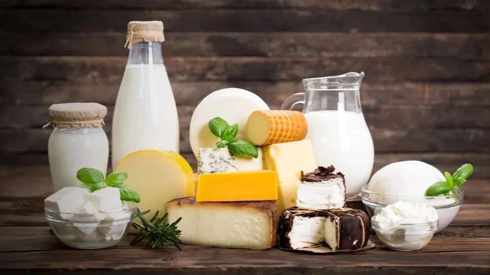 فروش انواع لبنیات هاشم زاده