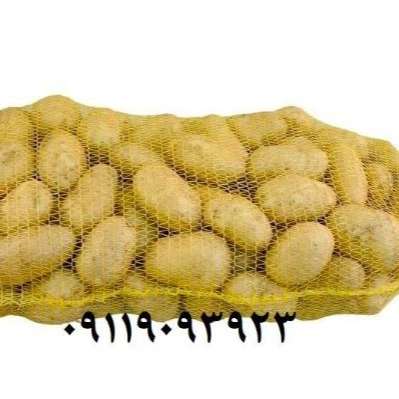 توری میوه و سبزی