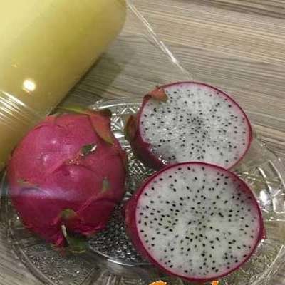 تولید سلفون ایرانی درجه یک پالیز صنعت نایب در کرج
