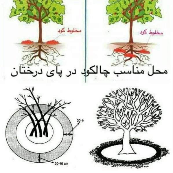 فراوری وتولید انواع کود ارگانیک