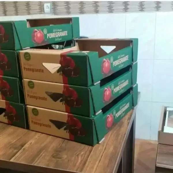 کارتن سازی و جعبه سازی رسول