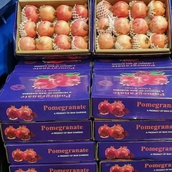 کارتن سازی و جعبه سازی رسول