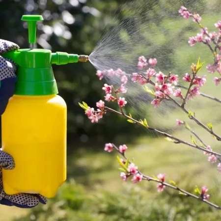 سمپاشی گیتی مهر