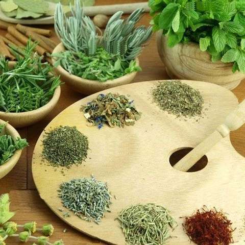 انواع صیفی جات خشک و تر امیری