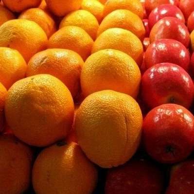 خرید فروش صادرات میوه و مرکبات سورتینگ محصولات کشاورزی بازرگانی اسدالهی در مازندران