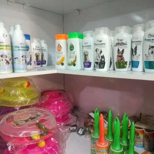 پت شاپ شمس