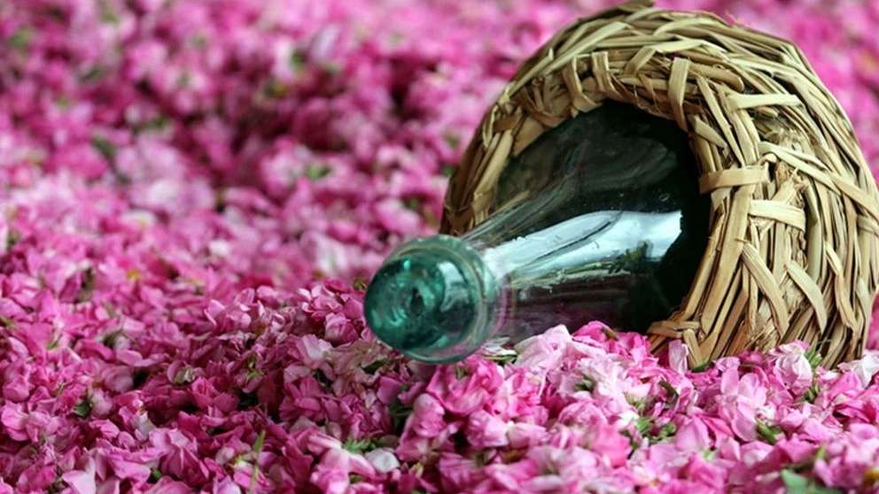گلاب سنتی نيلو