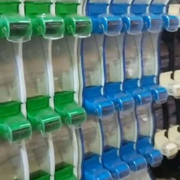 الینا استند