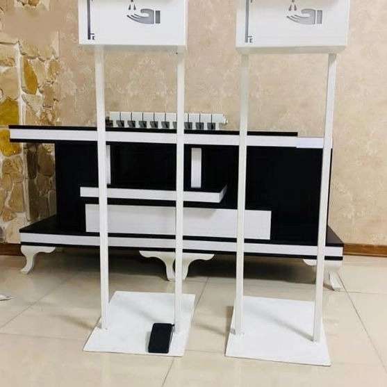 الینا استند