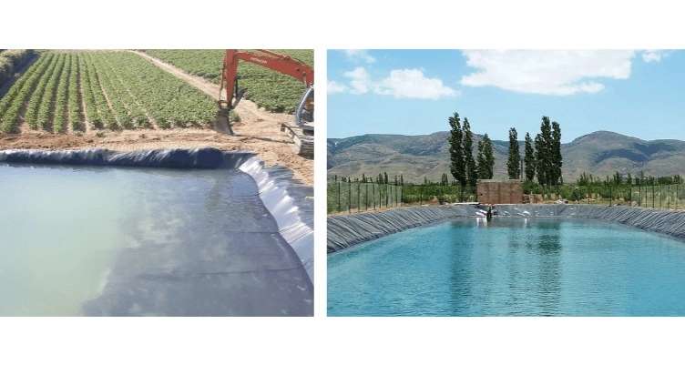 ژئوممبران مرادی